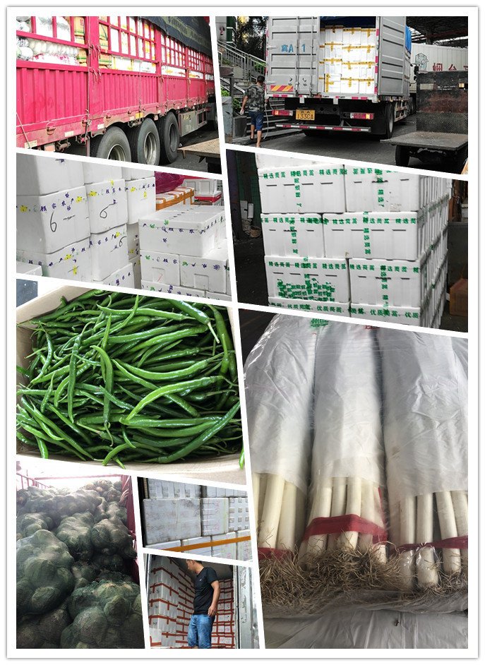 优发国际·随优而动一触即发