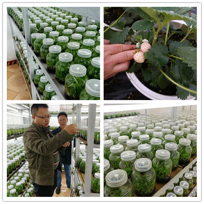 优发国际·随优而动一触即发