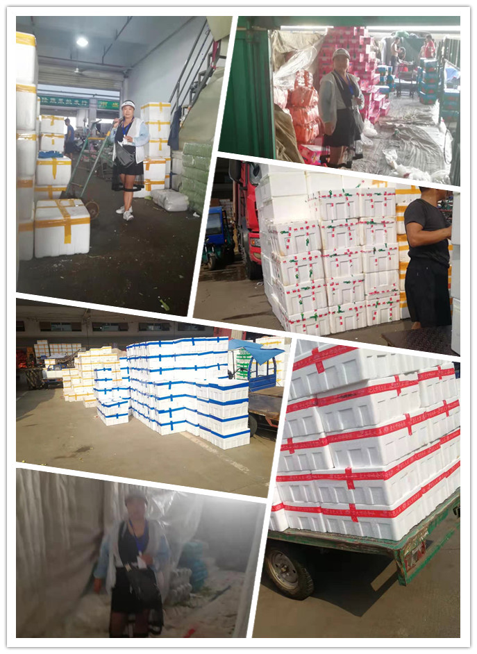 优发国际·随优而动一触即发