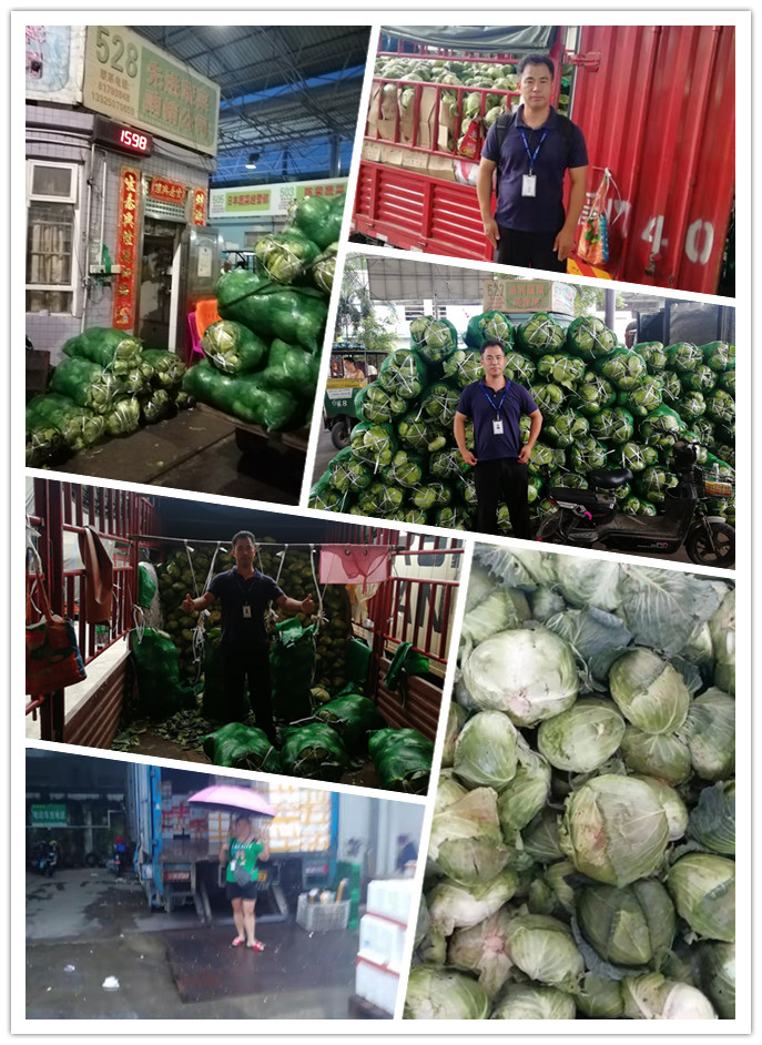 优发国际·随优而动一触即发