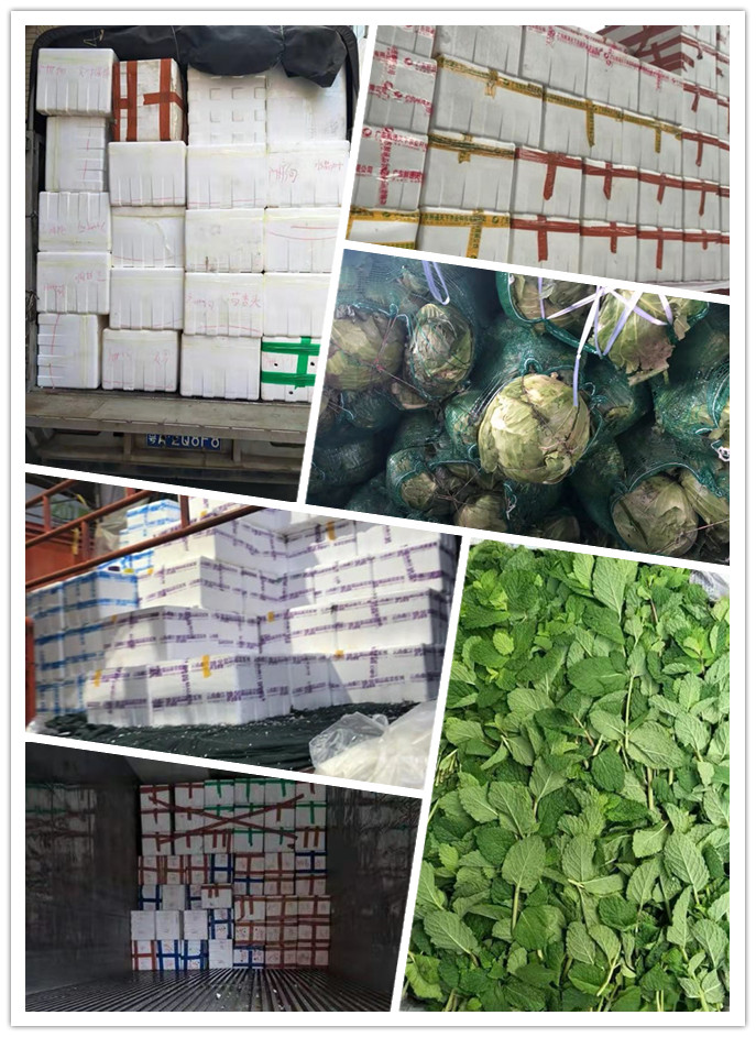 优发国际·随优而动一触即发