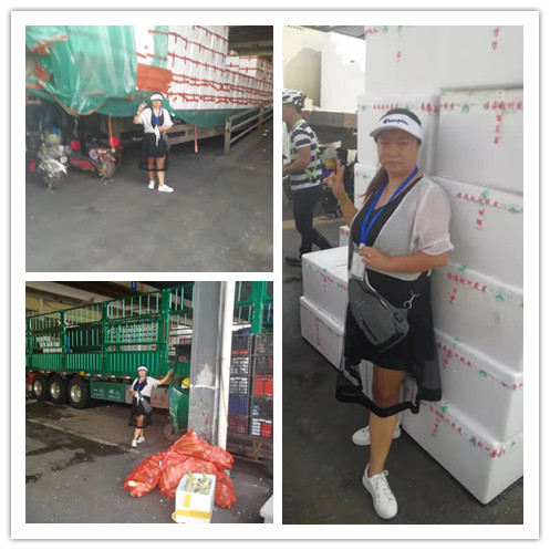 优发国际·随优而动一触即发