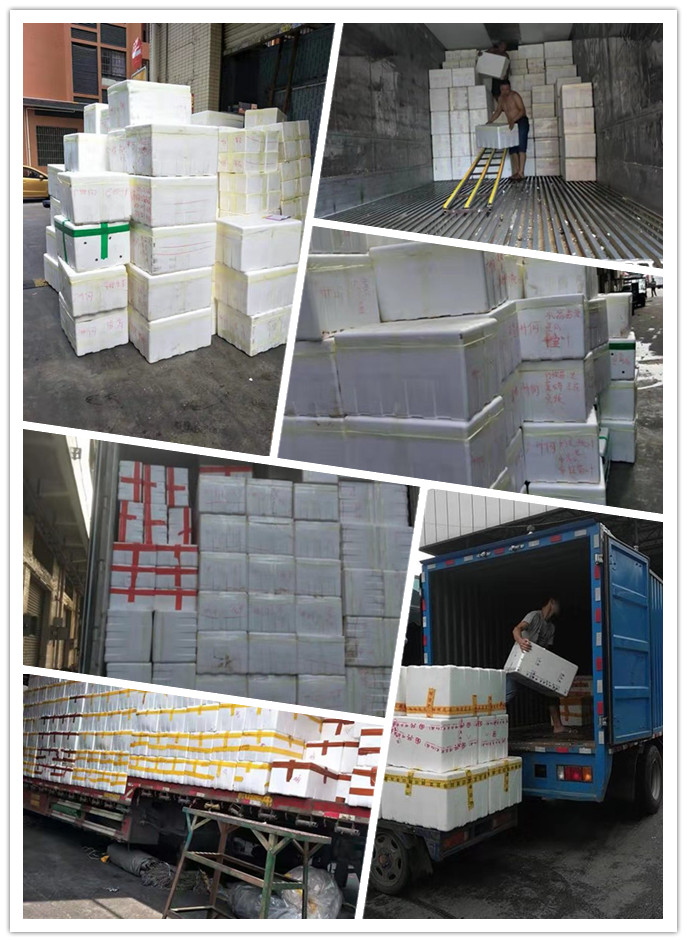 优发国际·随优而动一触即发