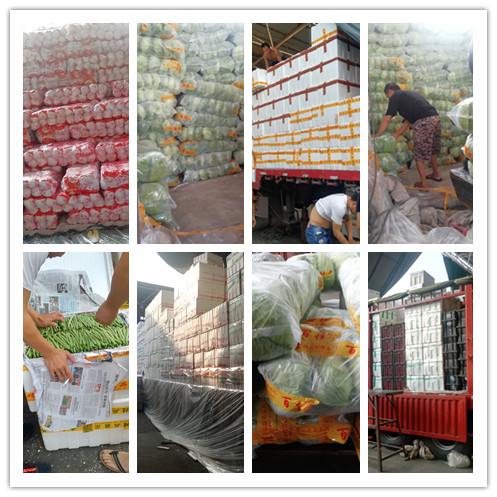 优发国际·随优而动一触即发