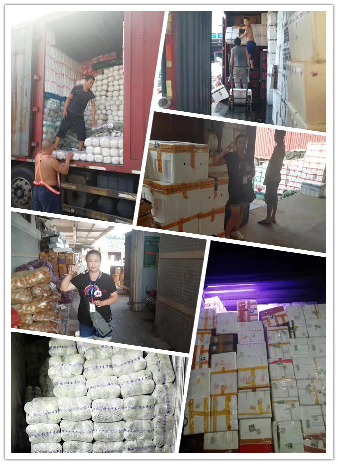 优发国际·随优而动一触即发