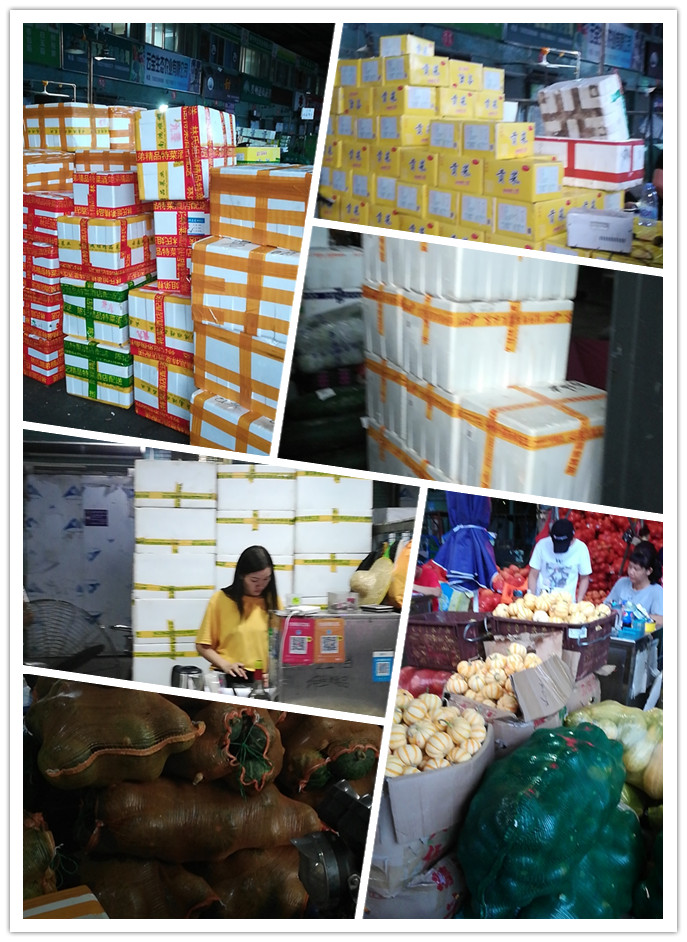 优发国际·随优而动一触即发