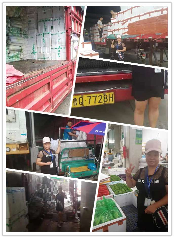 优发国际·随优而动一触即发