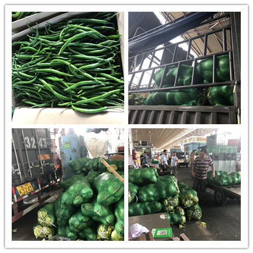 优发国际·随优而动一触即发