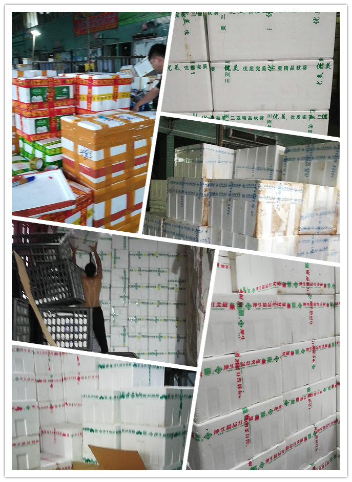 优发国际·随优而动一触即发