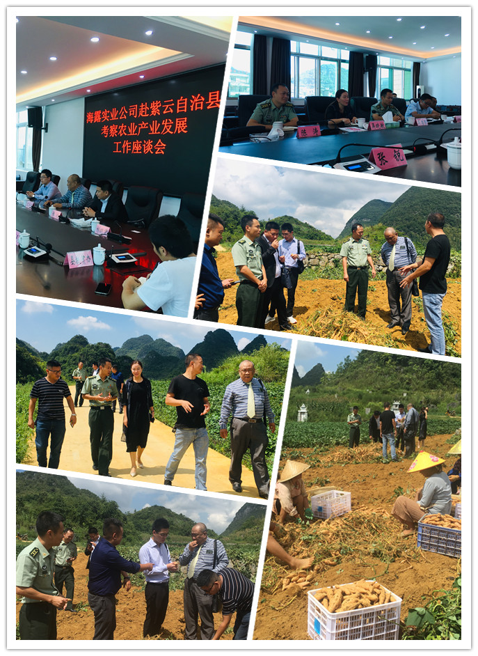 优发国际·随优而动一触即发