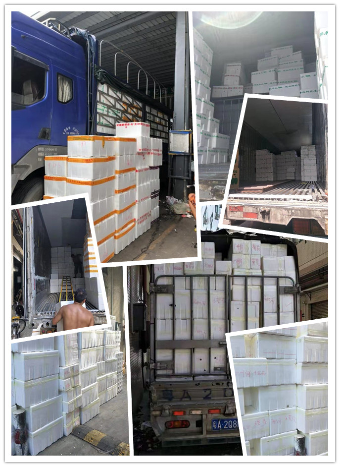 优发国际·随优而动一触即发