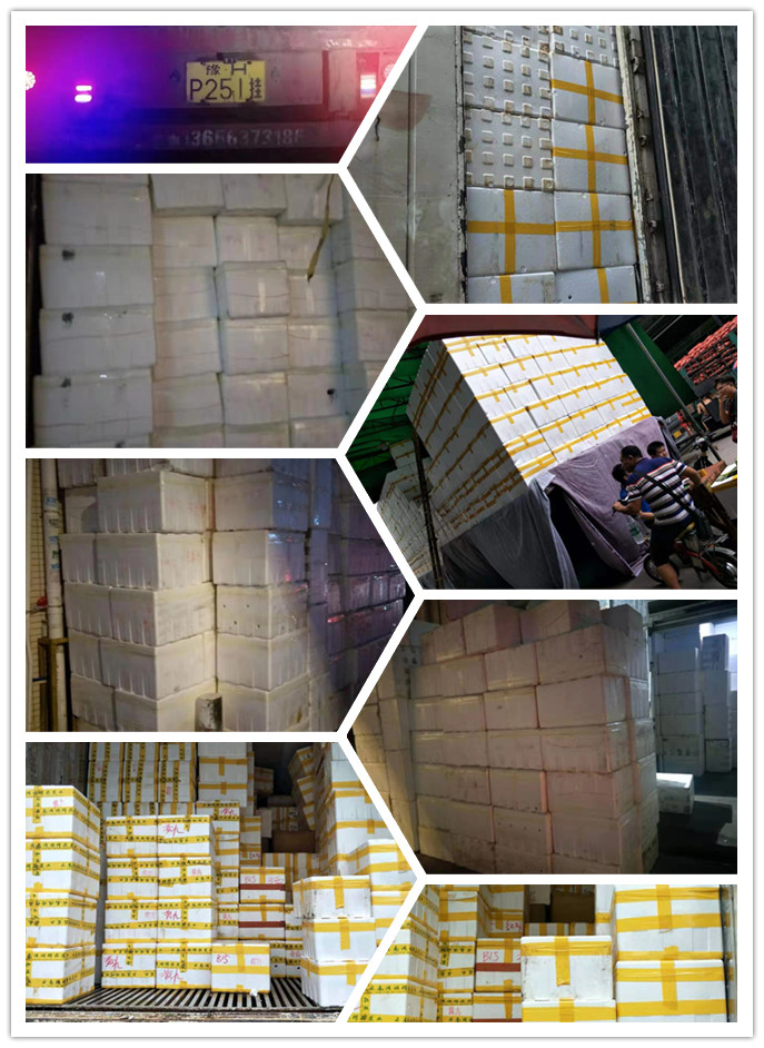 优发国际·随优而动一触即发