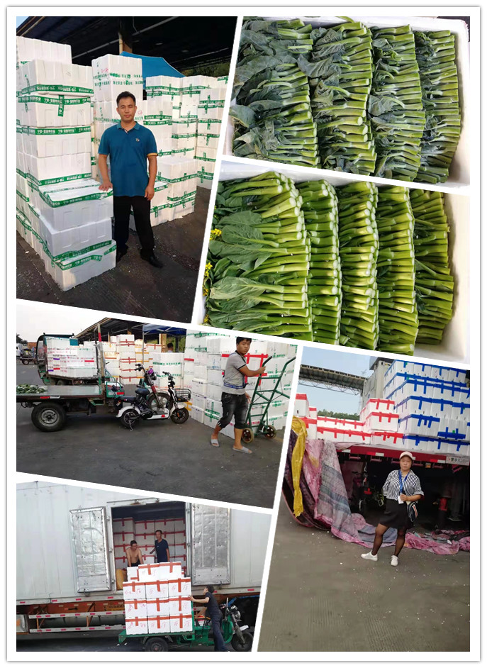 优发国际·随优而动一触即发