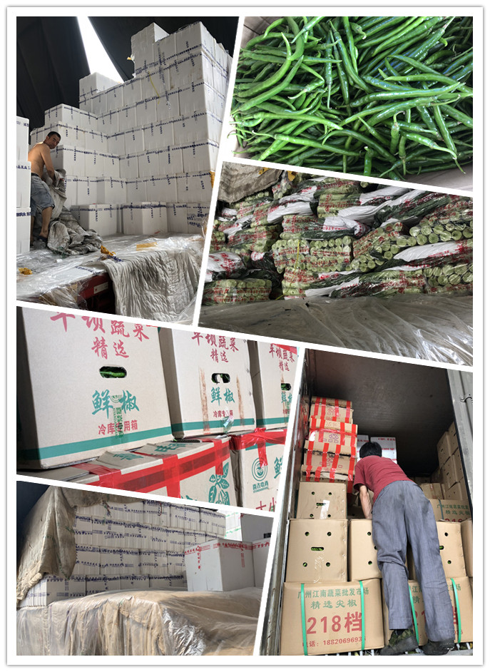 优发国际·随优而动一触即发