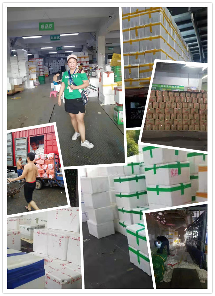 优发国际·随优而动一触即发