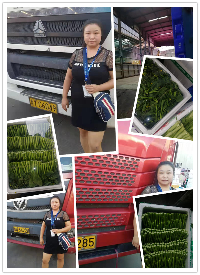 优发国际·随优而动一触即发