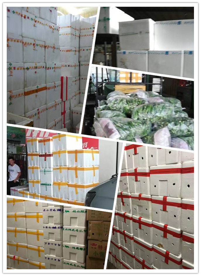 优发国际·随优而动一触即发