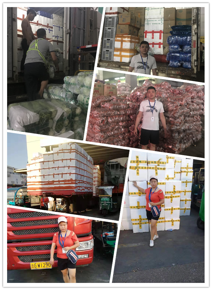 优发国际·随优而动一触即发