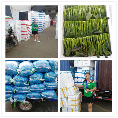 优发国际·随优而动一触即发