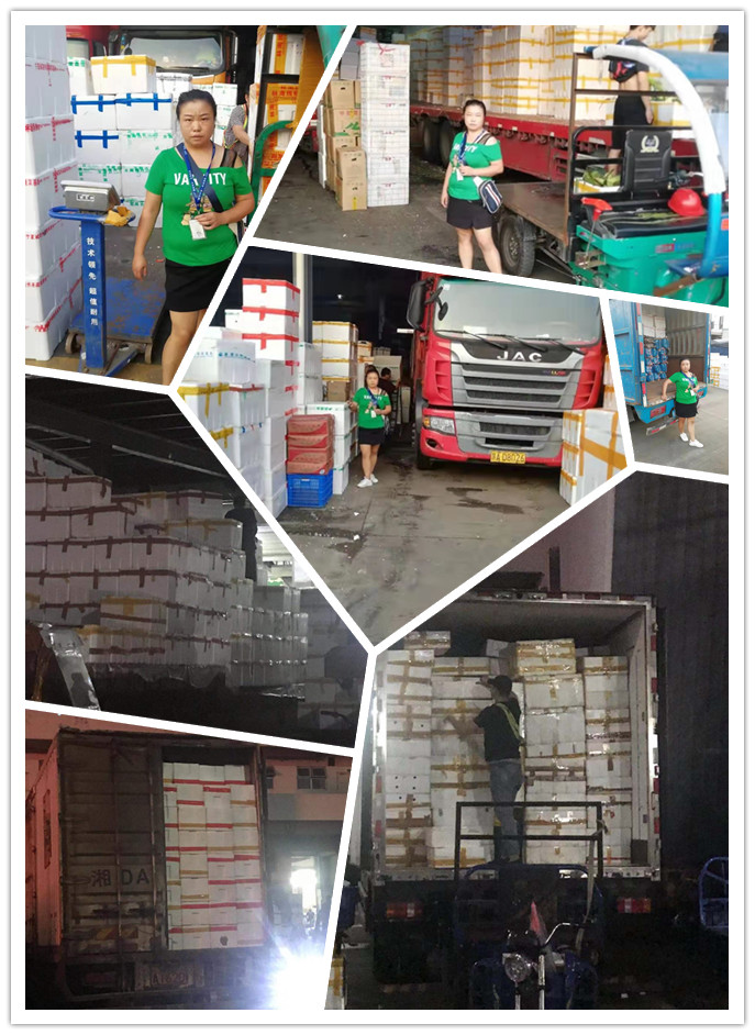 优发国际·随优而动一触即发