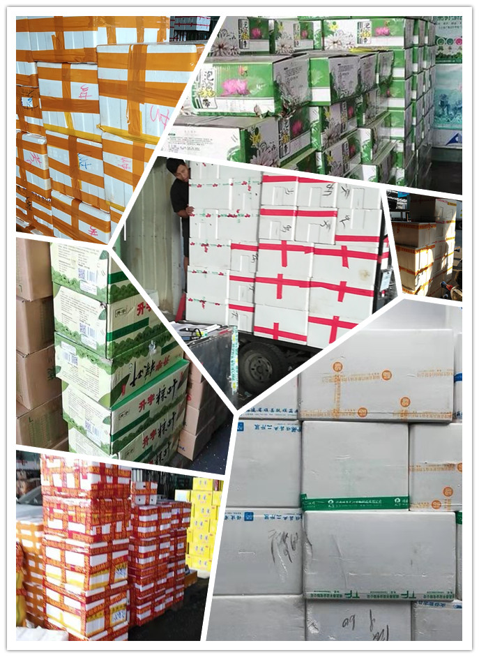 优发国际·随优而动一触即发