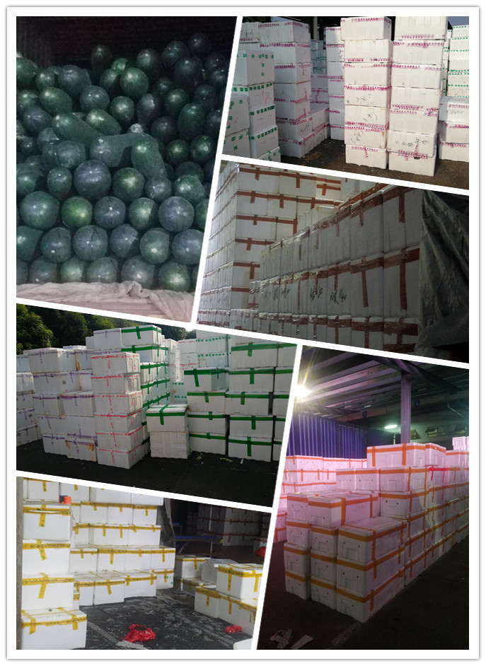 优发国际·随优而动一触即发