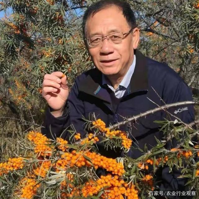 优发国际·随优而动一触即发