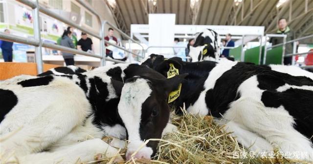 优发国际·随优而动一触即发