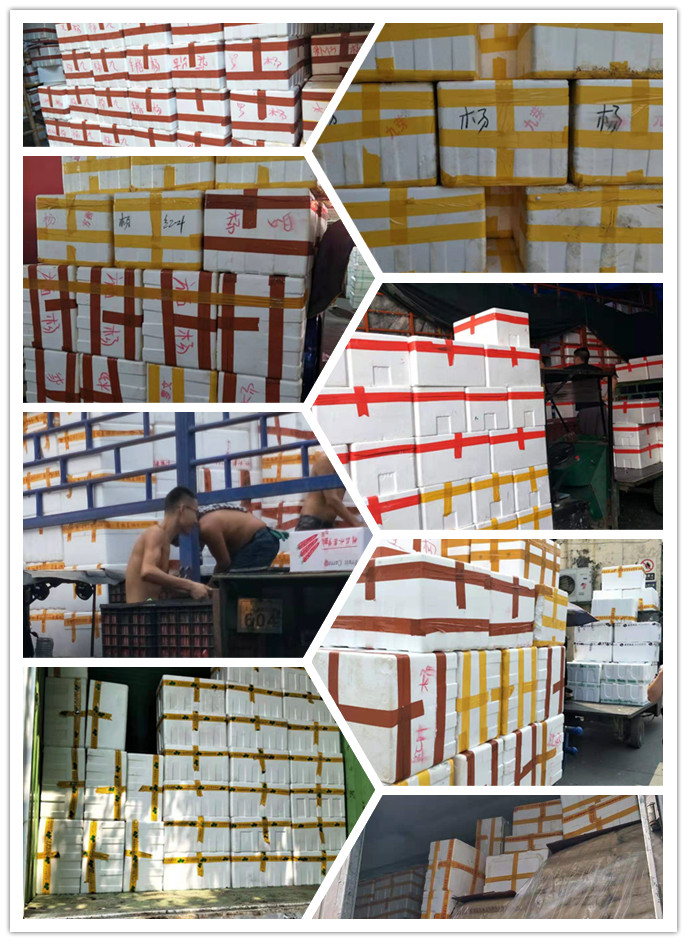 优发国际·随优而动一触即发