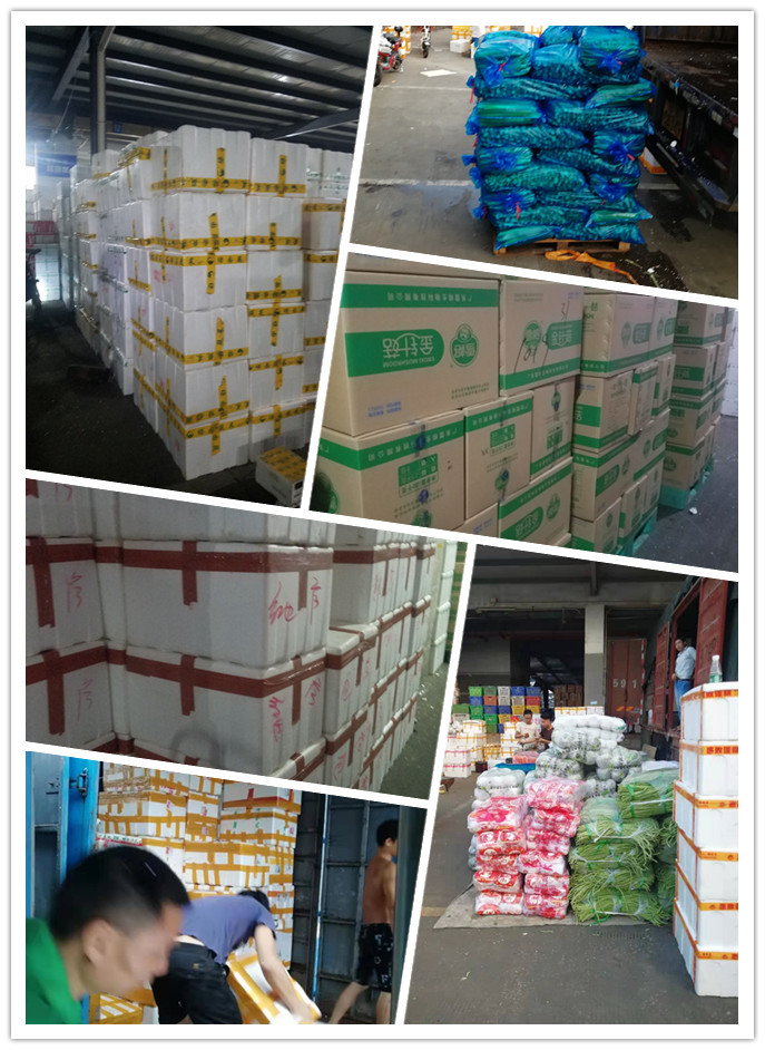 优发国际·随优而动一触即发