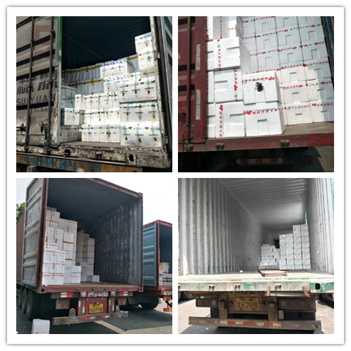 优发国际·随优而动一触即发