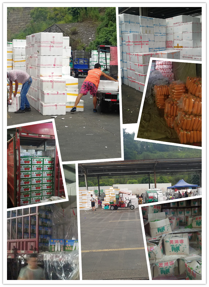 优发国际·随优而动一触即发