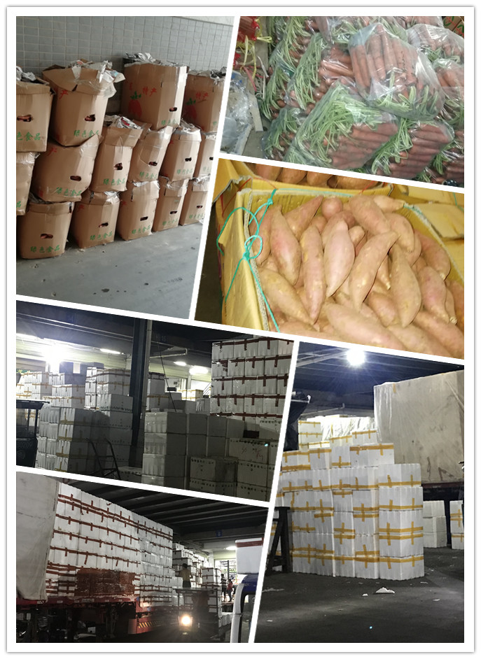 优发国际·随优而动一触即发