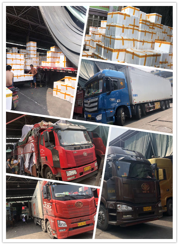 优发国际·随优而动一触即发