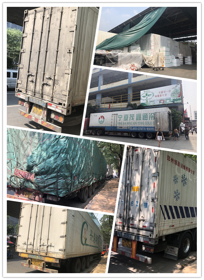 优发国际·随优而动一触即发