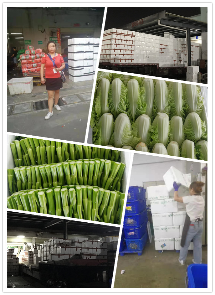 优发国际·随优而动一触即发