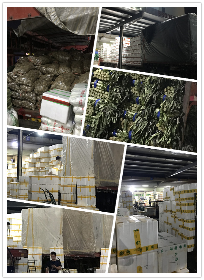 优发国际·随优而动一触即发