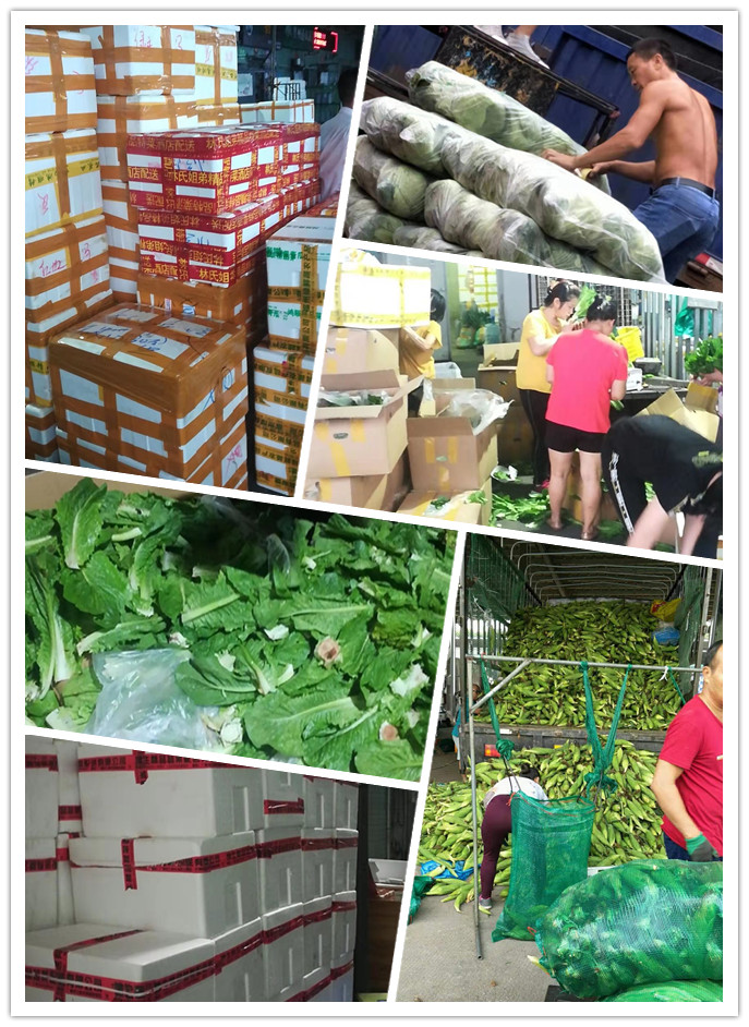 优发国际·随优而动一触即发