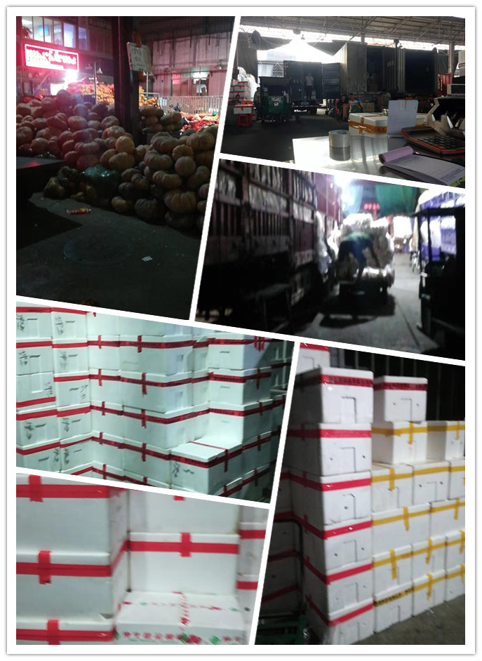 优发国际·随优而动一触即发