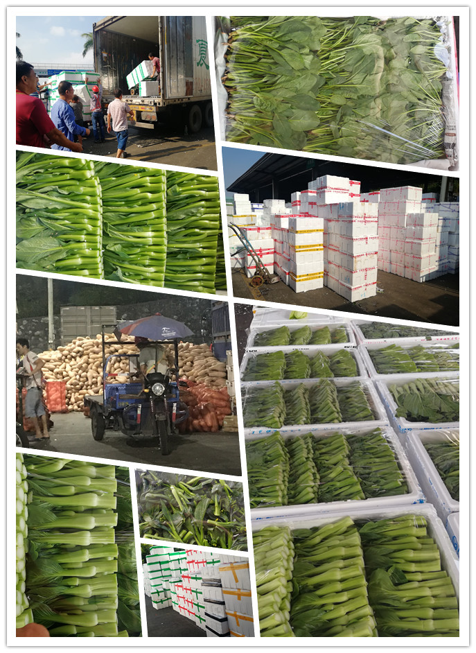 优发国际·随优而动一触即发