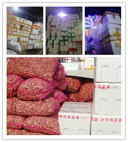 优发国际·随优而动一触即发