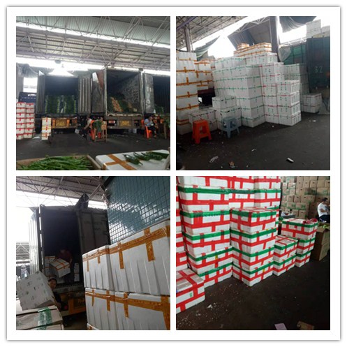 优发国际·随优而动一触即发