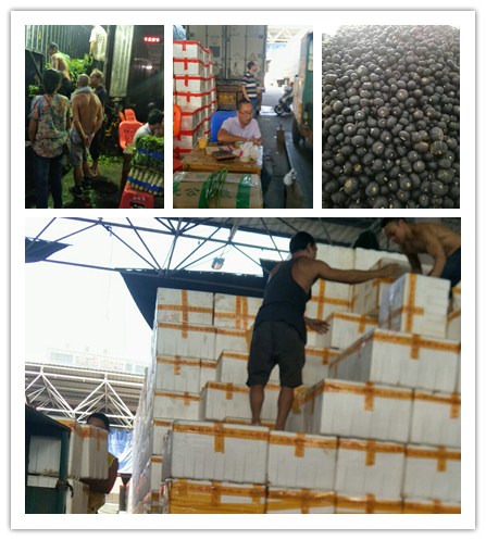 优发国际·随优而动一触即发