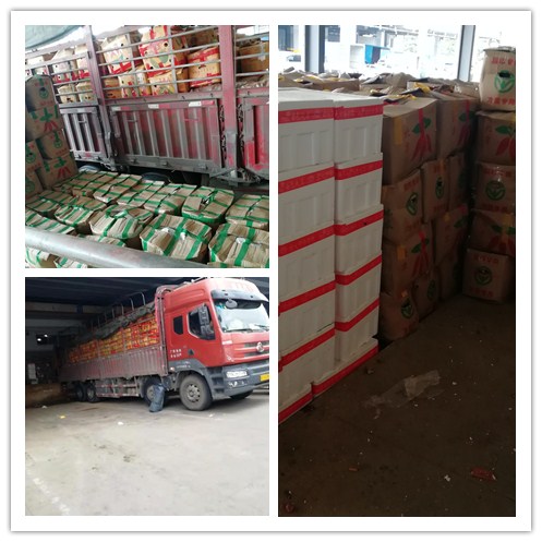 优发国际·随优而动一触即发