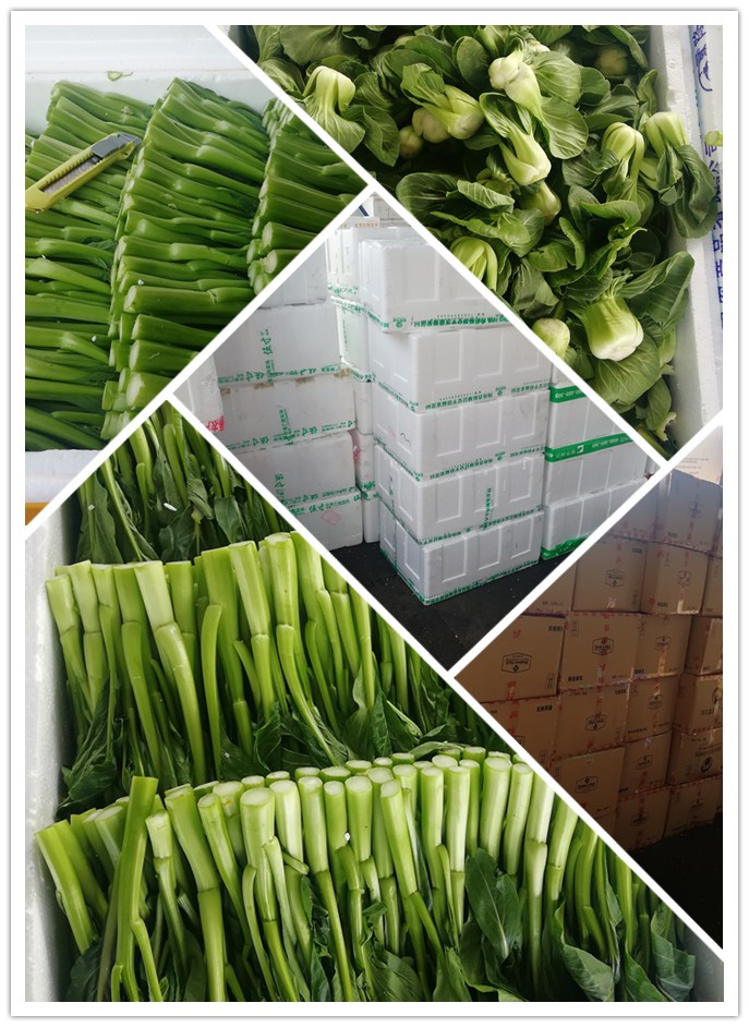 优发国际·随优而动一触即发