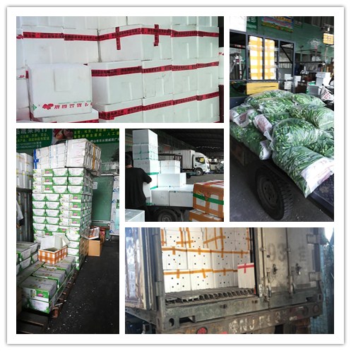 优发国际·随优而动一触即发