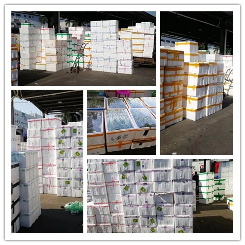 优发国际·随优而动一触即发