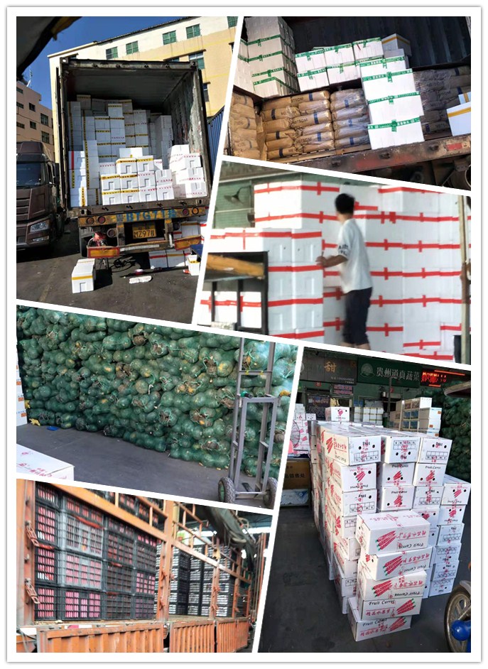 优发国际·随优而动一触即发