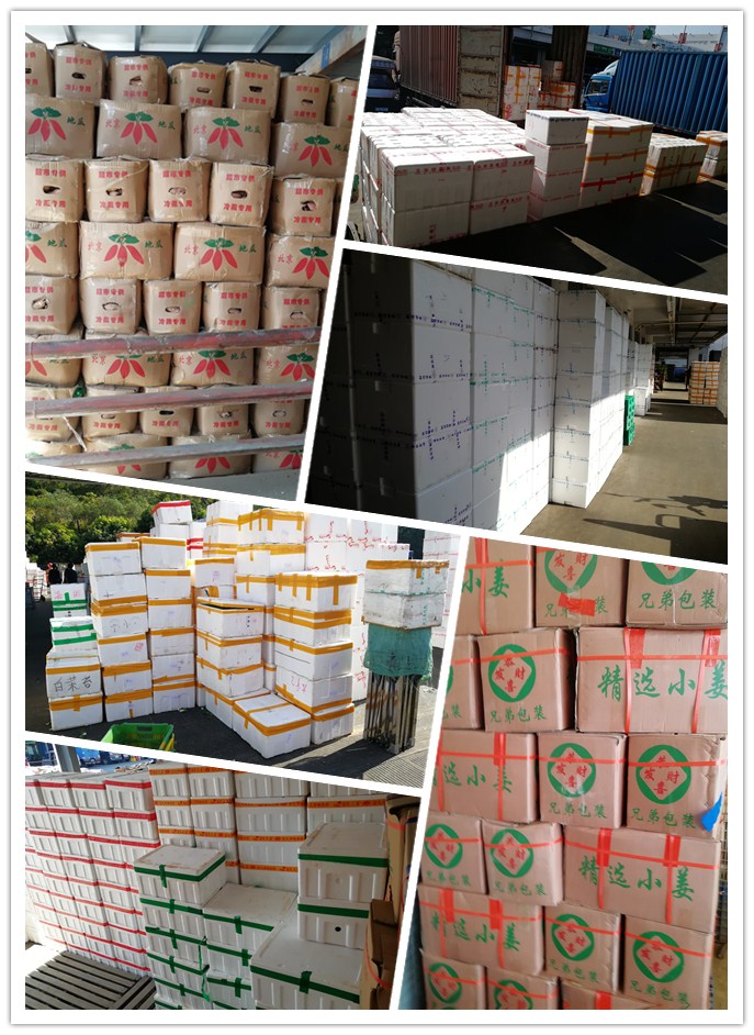 优发国际·随优而动一触即发