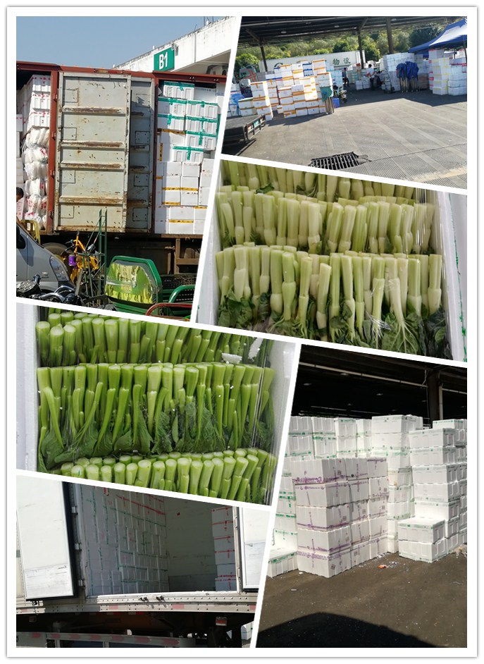 优发国际·随优而动一触即发